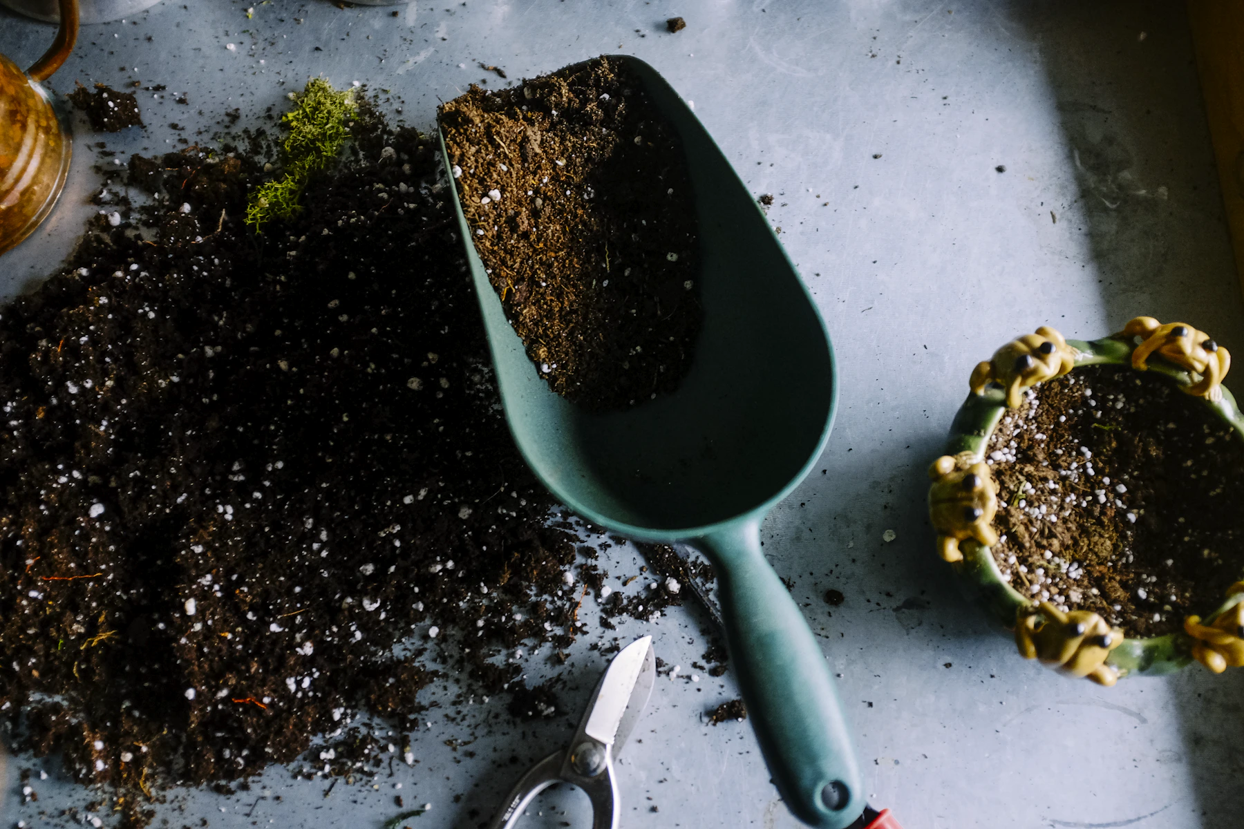 Illustrative garden planting and outdoor greenery